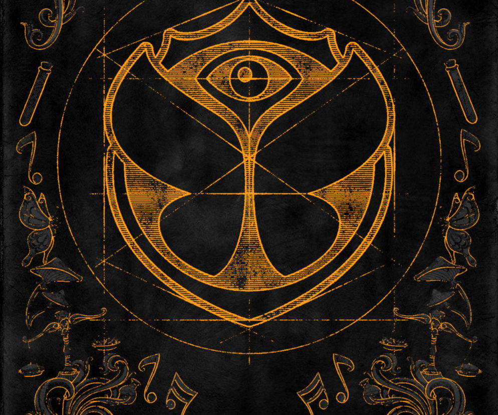 Tomorrowland 2019 - gwiazdy świętują jubileuszową edycję! 