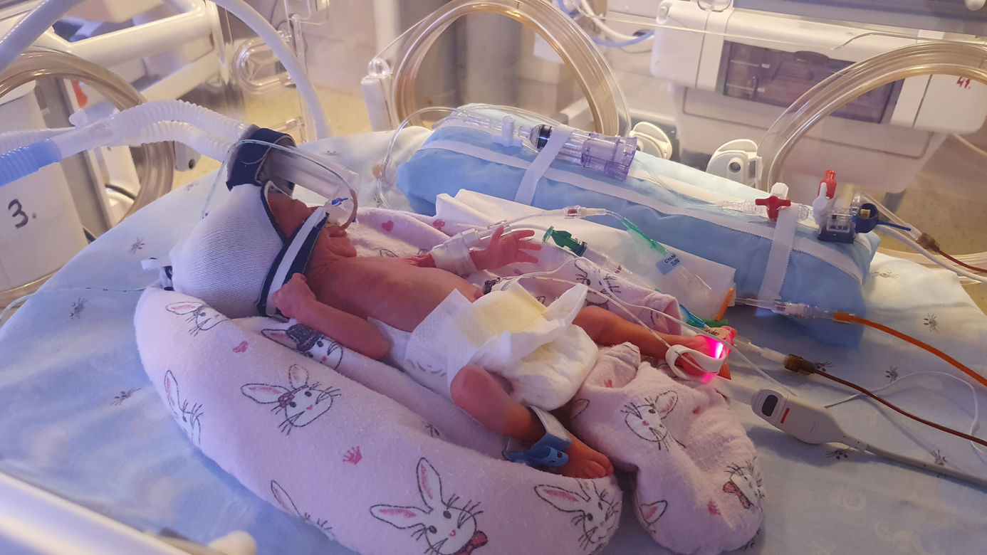 Pomóżcie! Żeby były zdrowe POTRZEBUJĄ AUTA