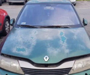 Wraki pojazdów znikają z krakowskich ulic. Strażnicy mają pełne ręce roboty 