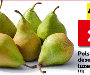 Wielkie promocje w Lidlu