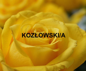 Najpopularniejsze nazwiska 2021 w Polsce. Które występują najczęściej? 