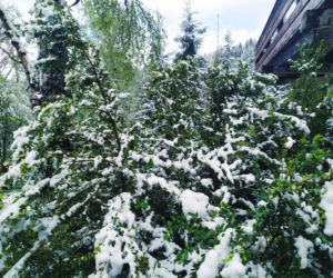 Powrót zimy w Małopolsce? W maju spadł śnieg!