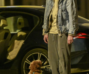 Taniec z gwiazdami kulisy