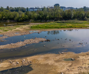 Niski stan wody w Wiśle w Warszawie. Znów padnie niechlubny rekord?