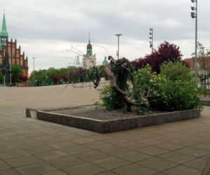 Ktoś zniszczył charakterystyczne drzewko na placu Solidarności