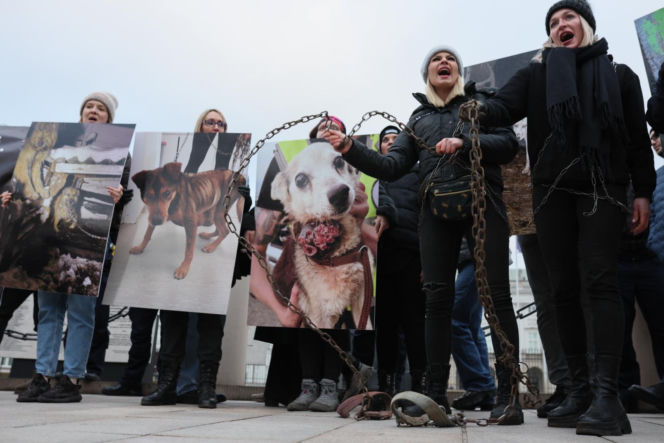 Wielki Marsz dla Zwierząt po wecie prezydenta