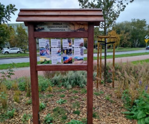 Park kieszonkowy w Siedlcach przy ul. Brzeskiej