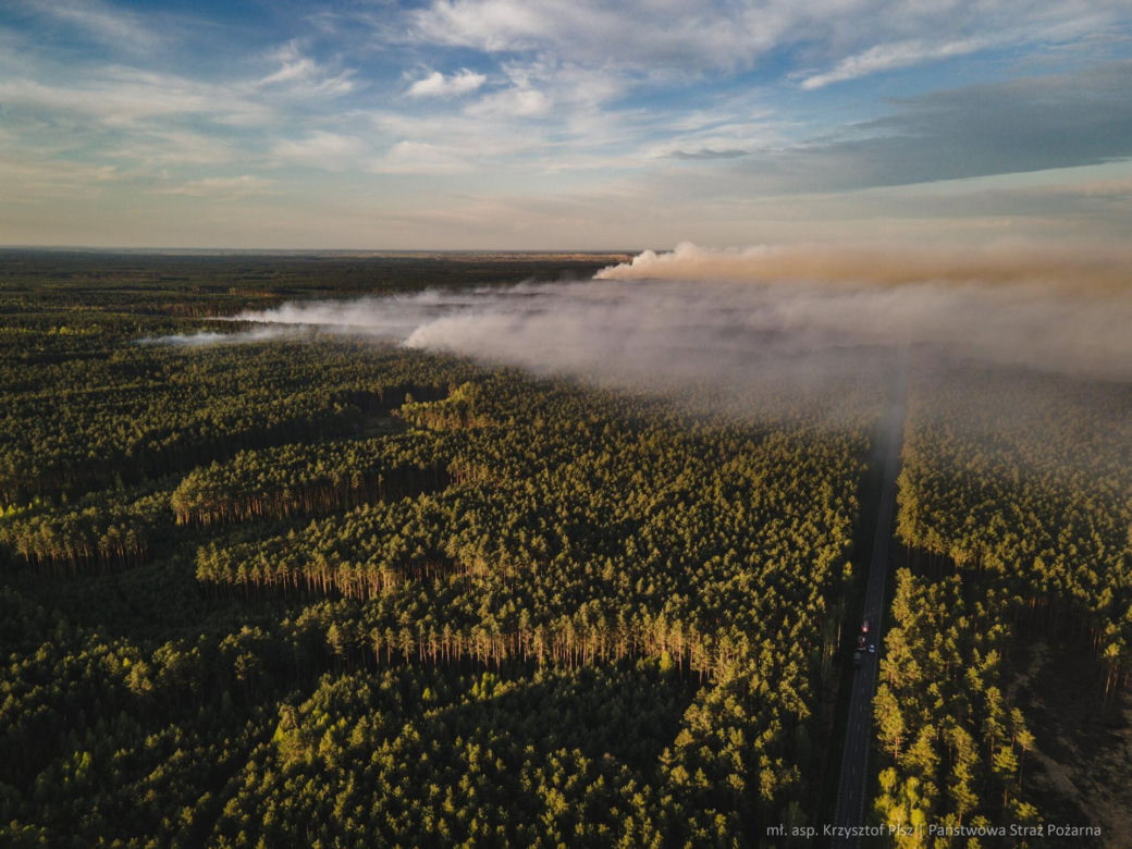 Roztoczański Park Narodowy zamknięty! Puszcza Solska w ogniu