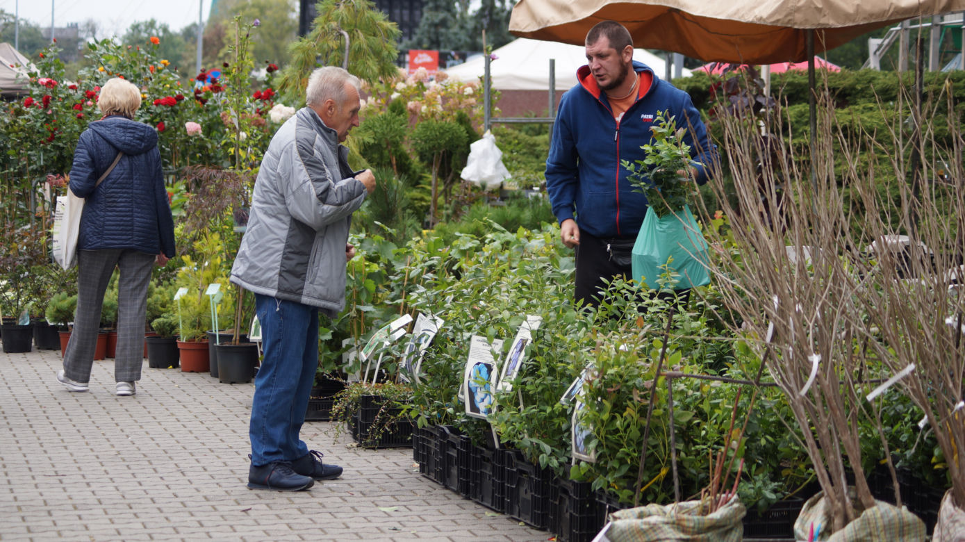  Jesienny Kiermasz Ogrodniczy w Bydgoszczy