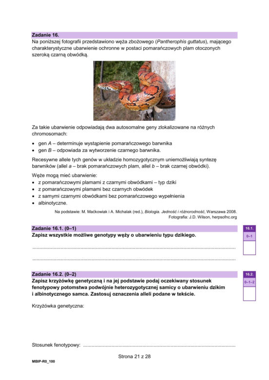 Matura próbna 2025: biologia rozszerzona. Odpowiedzi + arkusze CKE (10.12.24)