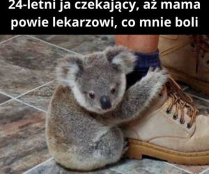 Memy z mamą w roli głównej 