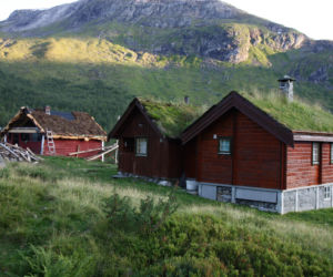 Zielone dachy Norwegii