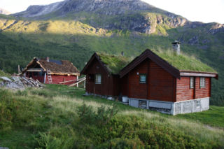 Zielone dachy Norwegii