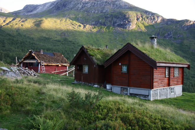 Zielone dachy Norwegii