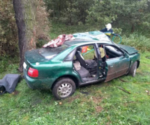 Poddębice. Finał podróży na drzewie, z audi została miazga! Cud, że wyszedł z TEGO żywo!