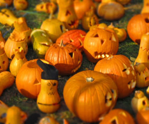 Halloween 2015 w Warszawie: imprezy, kluby, wydarzenia, koncerty