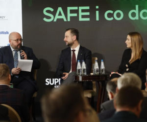 Konferencja SAFE i co dalej…?