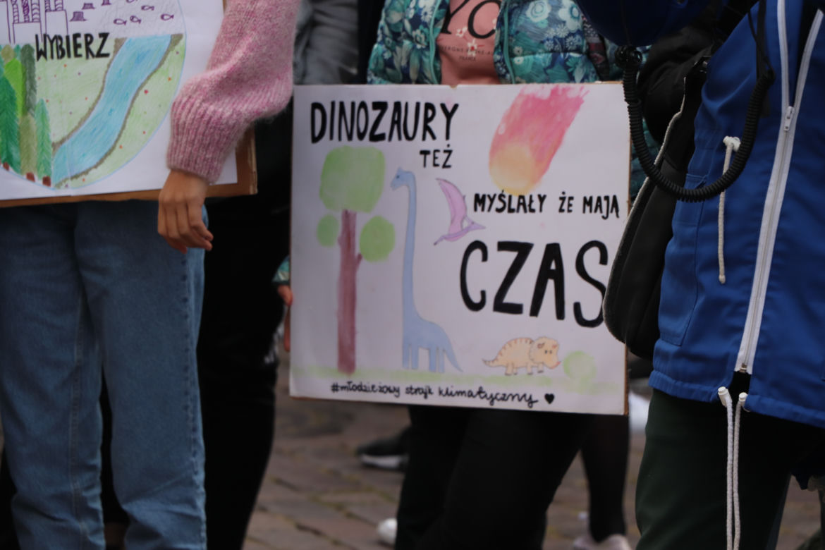 Młodzieżowy Strajk Klimatyczny w Toruniu. Protestowali przeciwko rządowi i korporacjom