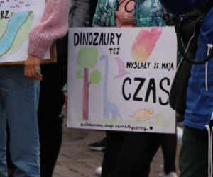 Młodzieżowy Strajk Klimatyczny w Toruniu. Protestowali przeciwko rządowi i korporacjom