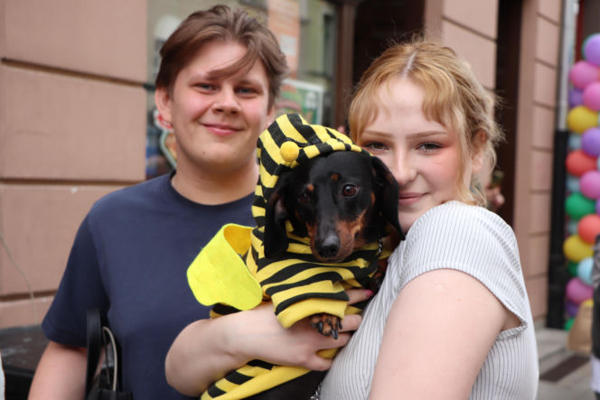 Zlot jamników w Toruniu. Mamy zdjęcia psiaków, właścicieli i fanów czworonogów