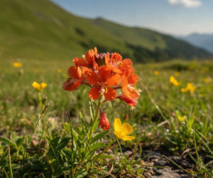 Pogodowa huśtawka w Karpaczu! Zacisnąć zęby i czekać na weekend. Będzie ponad 22 stopnie!