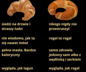 Krakowski lagun to prawdziwy FENOMEN! [MEMY]