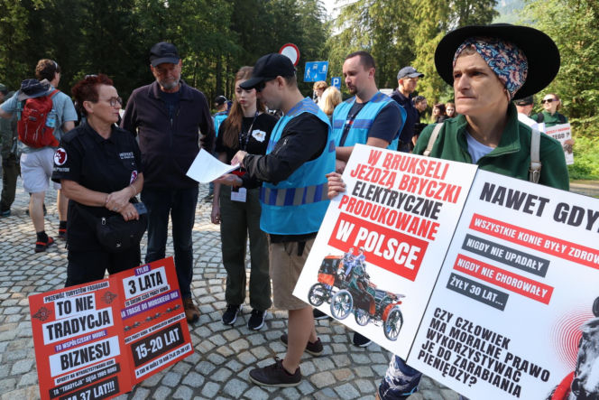 Protesty przeciwko konnemu transportowi nad Morskim Okiem