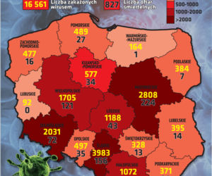 Koronawirus w Polsce 12.05 Stan na godz. 10