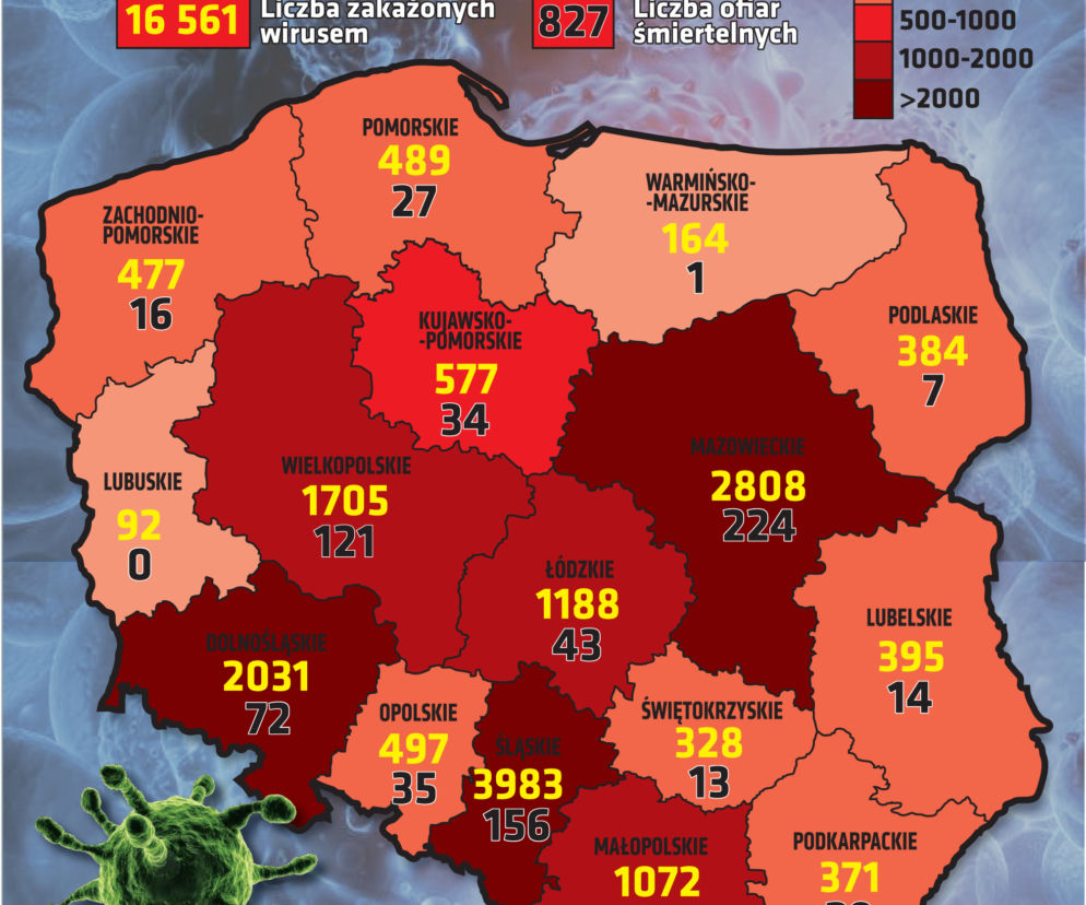 Koronawirus w Polsce 12.05 Stan na godz. 10