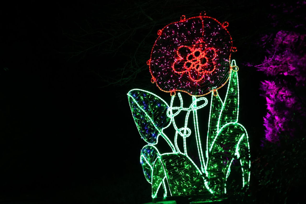 Park iluminacji 2023 w Lublinie