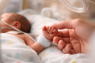 Aurelia, Nikodem i Franciszek. W Białymstoku urodziły się trojaczki