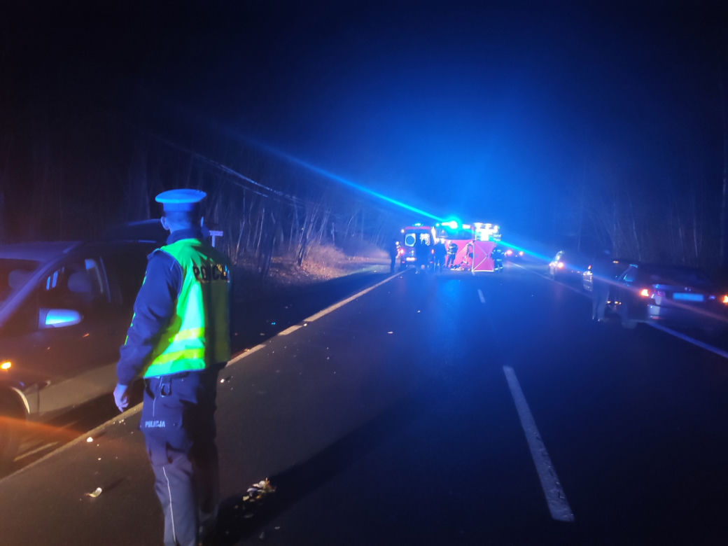 Koszmar na drodze niedaleko Torunia. 38-latek ZABIŁ pieszego!