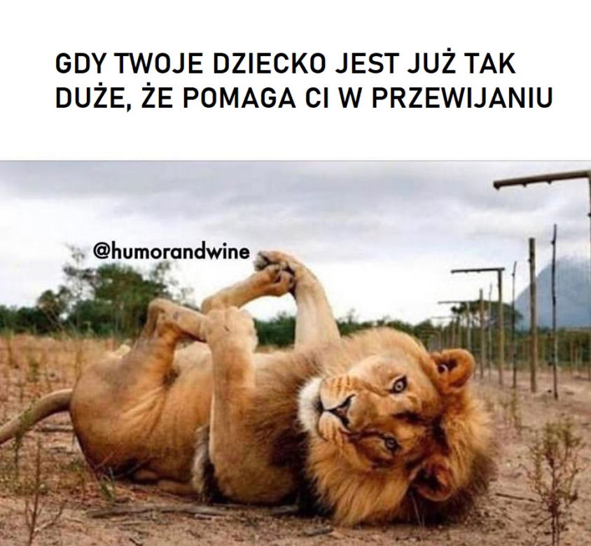MAMA. To brzmi dumnie! Dziś ich święto. Zobaczcie zabawne MEMY na Dzień Matki 2020