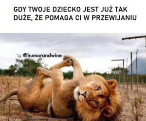 MAMA. To brzmi dumnie! Dziś ich święto. Zobaczcie zabawne MEMY na Dzień Matki 2020