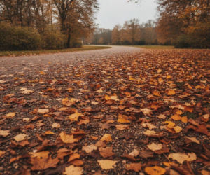 Weekend w Olsztynie nie do końca będzie słoneczny. Prognoza pokazuje ważną zmianę