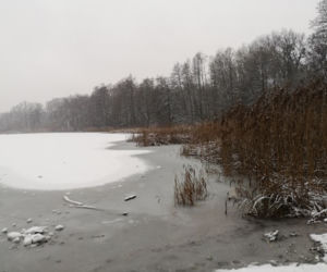 Jezioro Rusałka w zimowej aurze