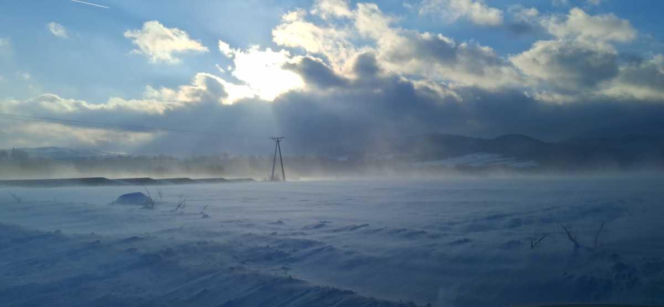 Zamieć śnieżna uwięziła kierowców w samochodach