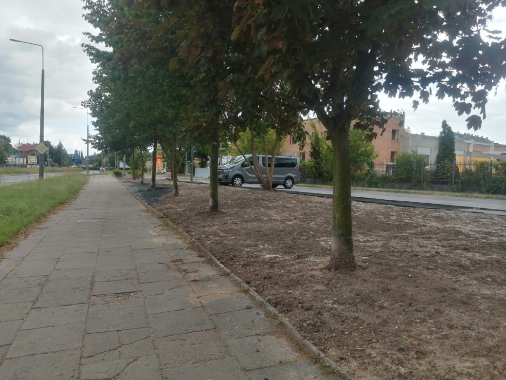 Park kieszonkowy w Siedlcach