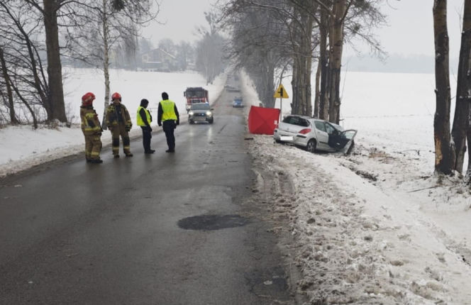 Na prostym odcinku drogi Peugeot uderzył w drzewo. Nie żyje 41-latek