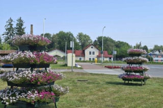 Mała wieś z wielką historią i śladami Gombrowicza. Nieznane miejsca w Świętokrzyskiem