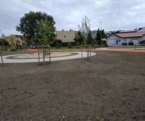 park Gronowo