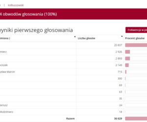 Wybory prezydenckie 2020: Jak głosowali mieszkańcy Podkarpacia