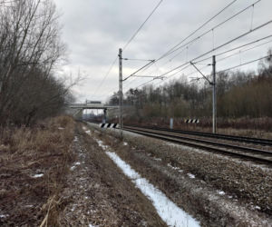 Cecylia zginęła pod kołami pociągu