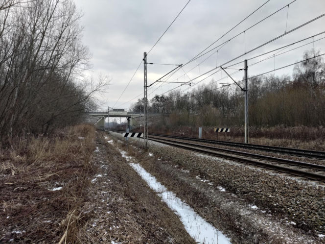 Cecylia zginęła pod kołami pociągu