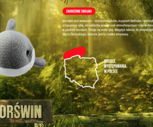 Koniec Gangu Swojaków