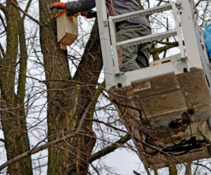 Ptaki we wrocławskim zoo poczuły wiosnę