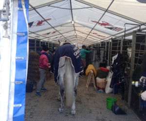 Cavaliada w Lublinie