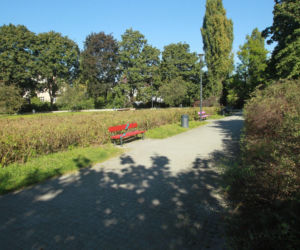 Wojna o tęczę 