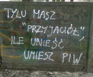 Napisy na łódzkich murach: Sztuka czy wandalizm? Ulica wie swoje...