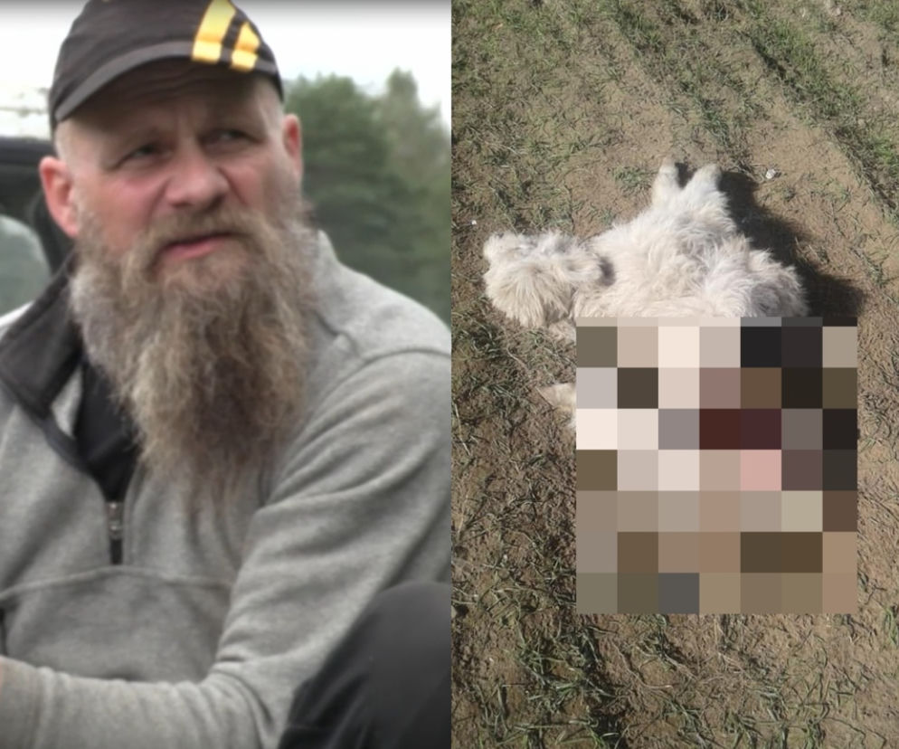 Rolnicy. Podlasie. Zjadana na żywca przez wilki. Dramat w gospodarstwie Maćka z Kundzicz